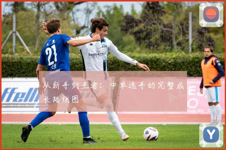 从新手到王者:中单选手的完整成长路线图