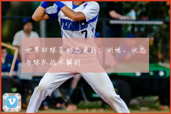 世界杯球星动态更新：训练、状态与球队战术解析